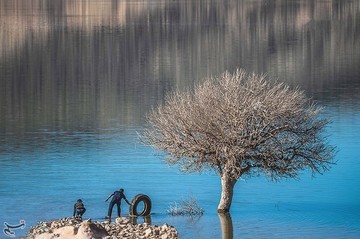 ردپای انسان در طبیعت