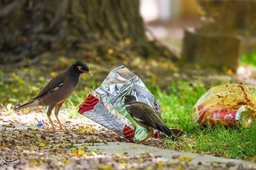 ردپای انسان در طبیعت