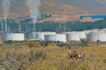 ردپای انسان در طبیعت