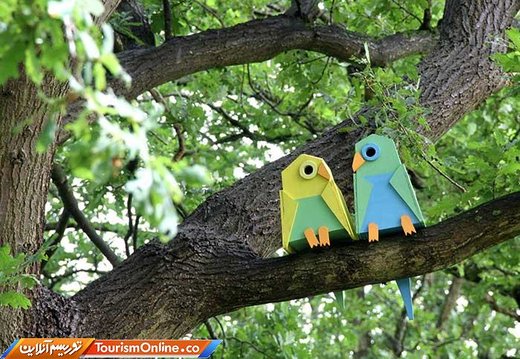 آشیانه های پرندگان در کپنهاگ