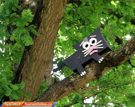 آشیانه های پرندگان در کپنهاگ