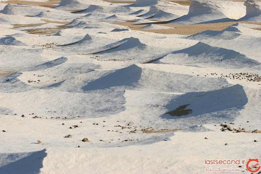 صحرای ال بیدا