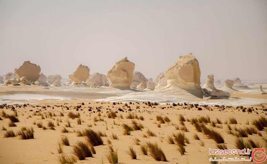صحرای ال بیدا