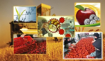 بهبود تراز تجاری غذا و کشاورزی 