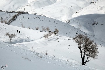 رخت سفید زمستان بر قامت آبیدر