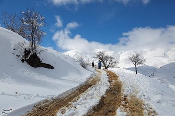 رخت سفید زمستان بر قامت آبیدر