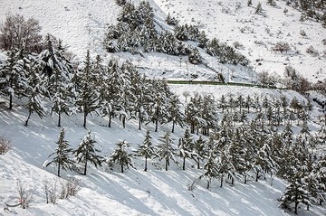رخت سفید زمستان بر قامت آبیدر