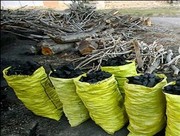 کشف بیش از ۹ تن چوب قاچاق بلوط در شهرستان لردگان