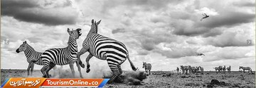 برترین عکس های رقابت انتخاب عکاس برتر فضای باز