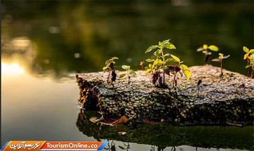 برترین عکس های رقابت انتخاب عکاس برتر فضای باز