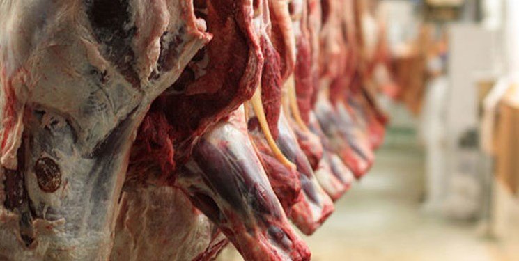 واردات گوشت با ارز دولتی 