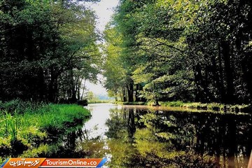 منطقه Spreewald آلمان