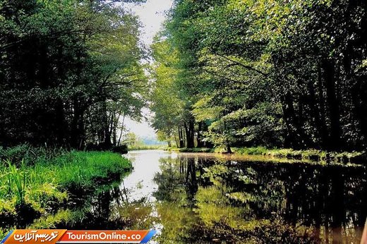 منطقه Spreewald آلمان