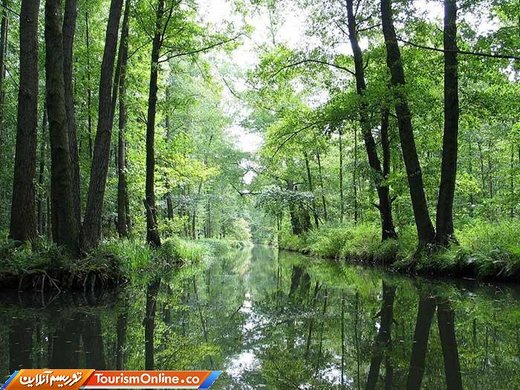 منطقه Spreewald آلمان