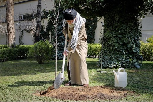 کاشت نهال توسط رهبر معظم انقلاب اسلامی