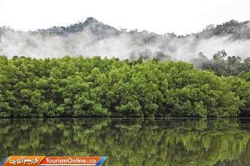 جزایر راجه آمپات