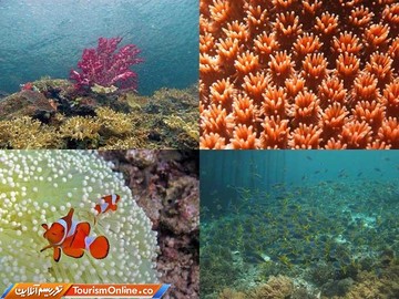 جزایر راجه آمپات
