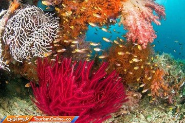 جزایر راجه آمپات