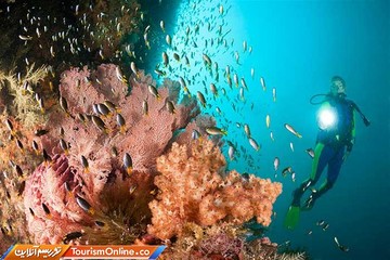 جزایر راجه آمپات