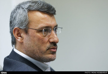 بعیدی‌نژاد: اعطای حمایت دیپلماتیک به زاغری مخالف حقوق بین‌الملل است