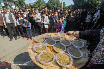 جشن شالیزار در مازندران