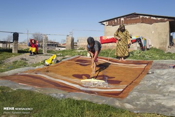 اینفوگرافیک | بایدها و نبایدهای شستن فرش در خانه تکانی