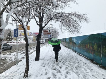 بارش برف در کرمانشاه