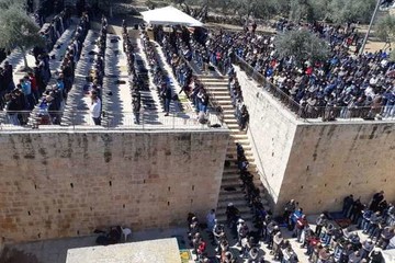 تصاویر | نماز جمعه ۴۰ هزار نفری مسجدالاقصی ‎