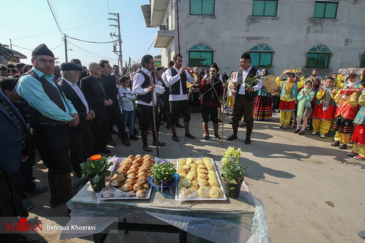 جشن شالیزار در مازندران