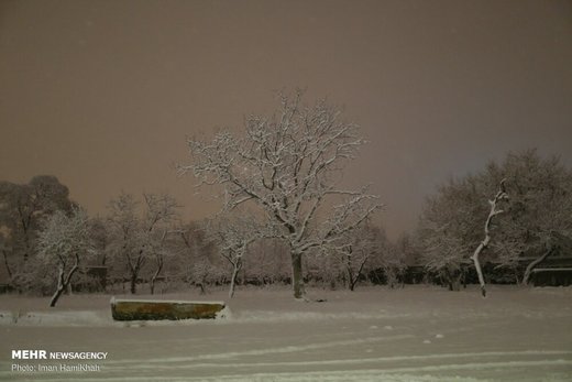 شب برفی همدان