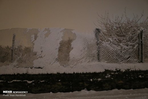 شب برفی همدان