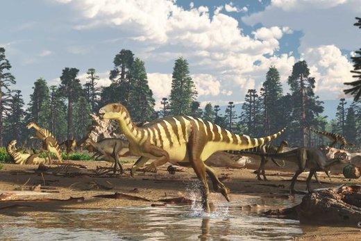کشف گونه جدیدی از دایناسور ۱۲۵ میلیون ساله در استرالیا