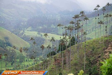 دره کوکورا کلمبیا