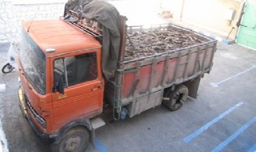 کشف ۲ تن چوب جنگلی قاچاق بلوط در شهرستان کیار 