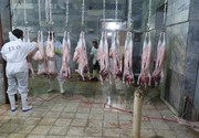 تعیین تکلیف ۷۰ کانتینر گوشت وارداتی در گمرک