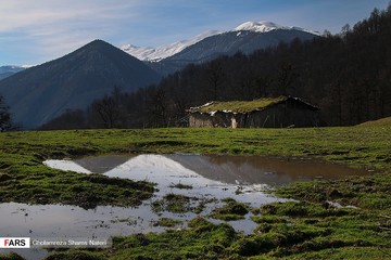 جنگل دالخانی