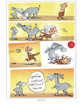 درس مهم یک الاغ به کره‌اش! 