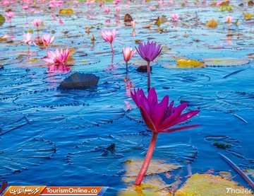 دریاچه نانگ هان کامفاواپی تایلند