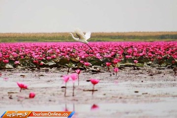 دریاچه نانگ هان کامفاواپی تایلند