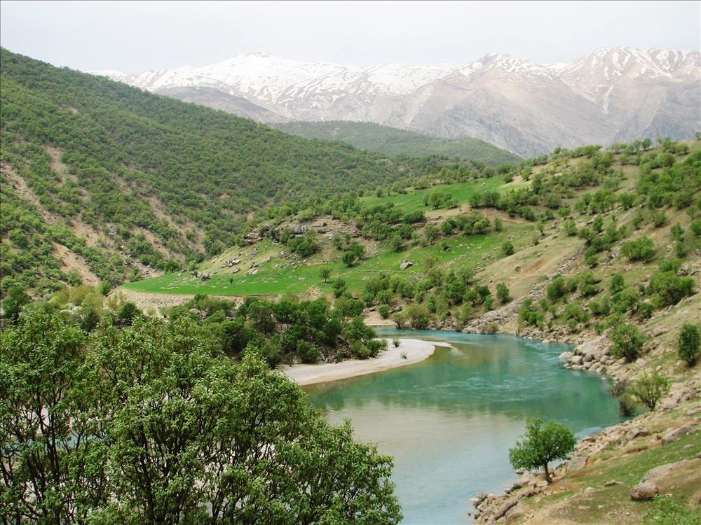 جنگلهای بازفت 