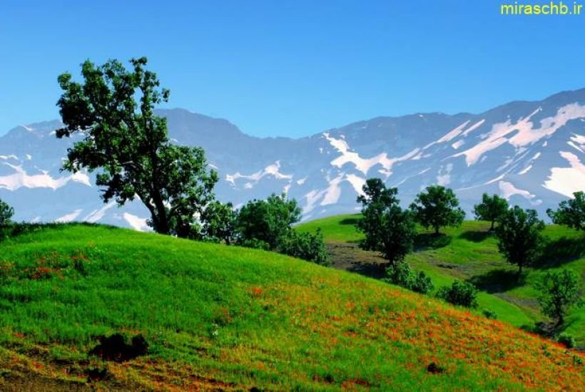 دامنه زردکوه 