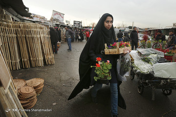 بازار گل تهران