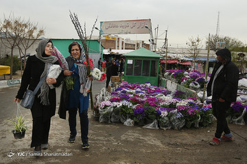 بازار گل تهران