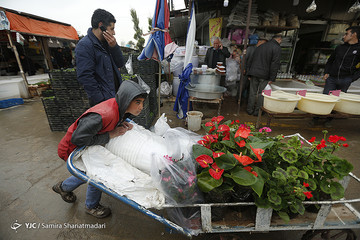 بازار گل تهران
