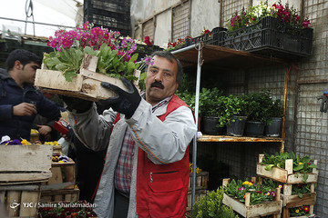 بازار گل تهران