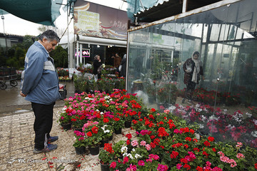 بازار گل تهران