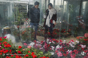 بازار گل تهران
