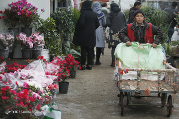 بازار گل تهران