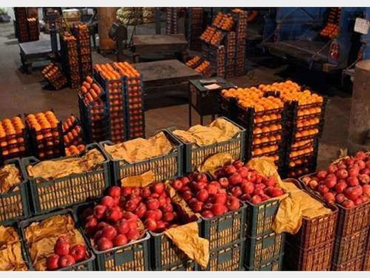 اعلام قیمت میوه‌های عیدانه 
