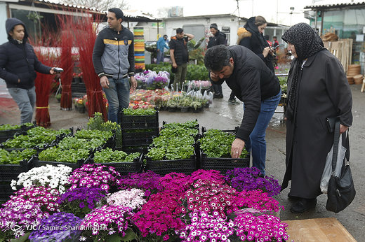 بازار گل تهران